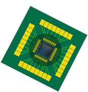 chip